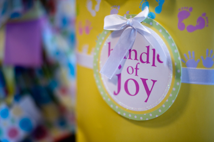 Grand Rapids, MI Baby Shower