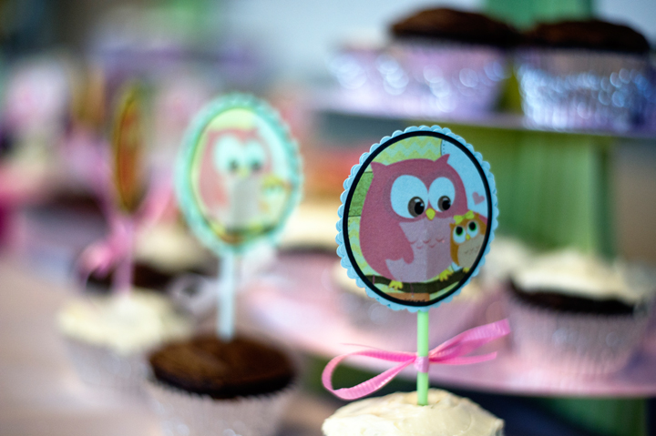 Grand Rapids, MI Baby Shower