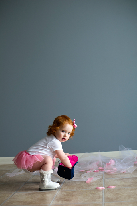 Jenison, MI Ballet Baby Mini Session