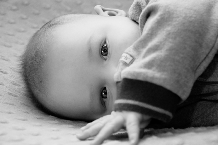 Rockford, MI Baby Session