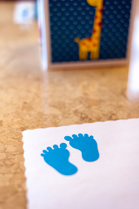 Sterling Heights, MI Baby Shower