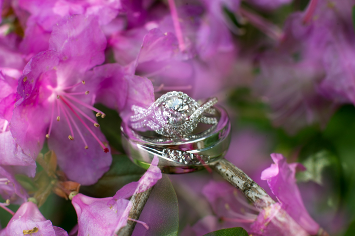 Rockford, MI Wedding